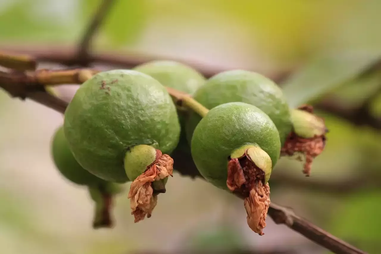 Why Mole is More Than Just a Sauce: A Deep Dive into Mexico's Culinary Tradition